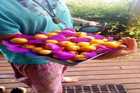 Photo of property in 13 Pohue Creek Road, Ruamahunga, Thames, 3575