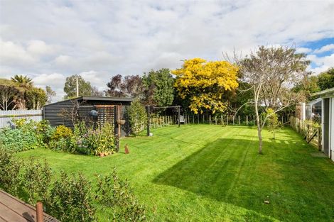 Photo of property in 41 Hammond Street, Bulls, 4818