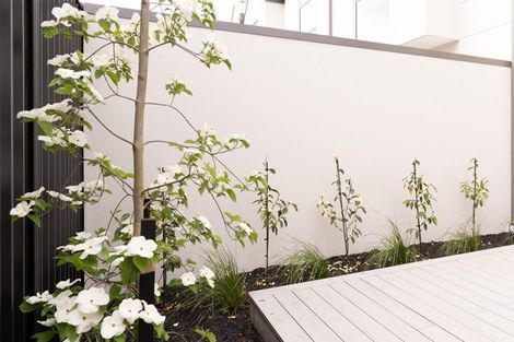 Photo of property in 1/244 Bealey Avenue, Christchurch Central, Christchurch, 8013