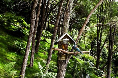 Photo of property in 65 White Horse Drive, Whakatane, 3120