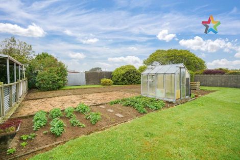 Photo of property in 49 Mauchline Street, Wallacetown, 9816