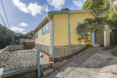 Photo of property in 67 Holloway Road, Aro Valley, Wellington, 6021
