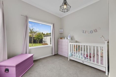 Photo of property in 135 Oakwood Avenue, Balaclava, Dunedin, 9011