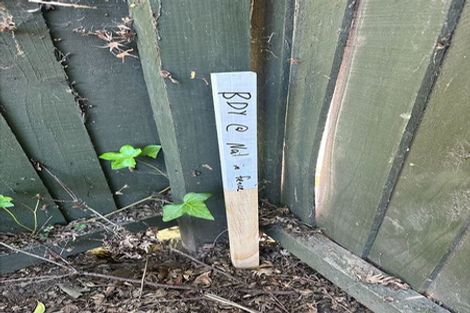 Photo of property in 403 Halswell Road, Halswell, Christchurch, 8025