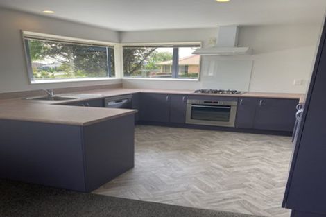 Photo of property in 17 Rubicon Place, Hei Hei, Christchurch, 8042