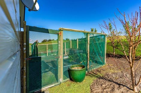 Photo of property in 264 Bee Bush Road, Arapohue, Dargaville, 0374