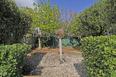 Photo of property in 12 Sale Street, Napier South, Napier, 4110