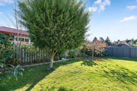 Photo of property in 4a Matai Street, Lansdowne, Masterton, 5810