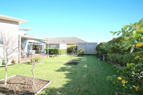 Photo of property in 151 Carmichael Road, Bethlehem, Tauranga, 3110