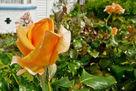 Photo of property in 22 Russell Street, Westport, 7825