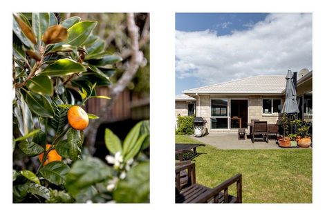 Photo of property in 6 Landward Close, Ohope, 3121