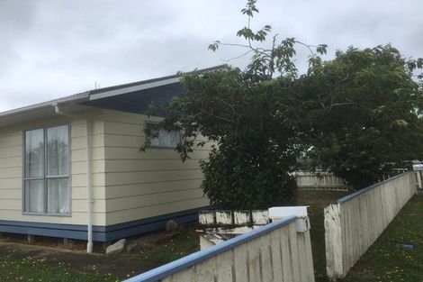 Photo of property in 7 Guy Avenue, Levin, 5510