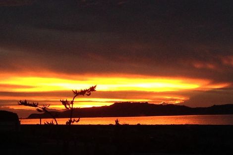 Photo of property in 255 Marine Parade, Eastbourne, Lower Hutt, 5013