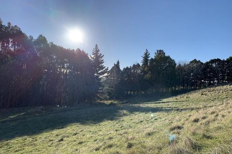 Photo of property in 61 Short Cut Road, Waitati, 9085