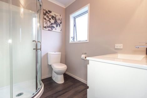 Photo of property in 24b Okoroire Street, Tirau, 3410