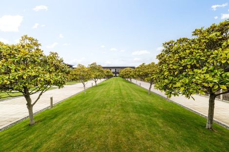 Photo of property in The Terraces, 37/9 Humber Street, Pandora, Napier, 4110