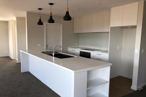 Photo of property in 3 Travers Avenue, Richmond, 7020