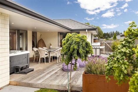 Photo of property in 15 Maeburn Street, Witherlea, Blenheim, 7201