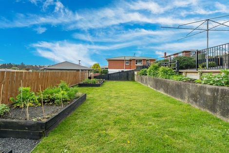 Photo of property in 54 Elwyn Crescent, Green Island, Dunedin, 9018