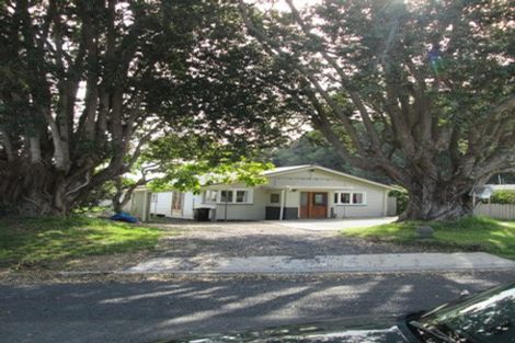 Photo of property in 107 Coromandel Street, Thames, 3500