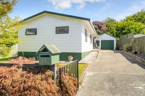 Photo of property in 12 Tiritoa Terrace, Feilding, 4702