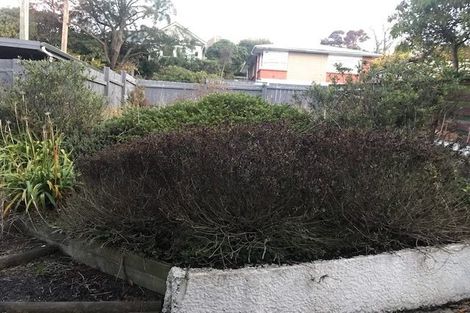 Photo of property in 39 Ventnor Street, Mornington, Dunedin, 9011