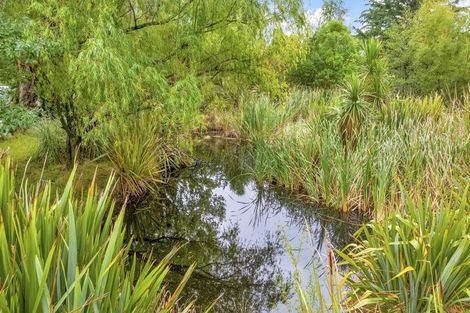 Photo of property in 161 Ward Road, Cheviot, 7381