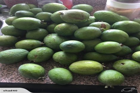 Photo of property in 70 Westhead Road, Pollok, Waiuku, 2683