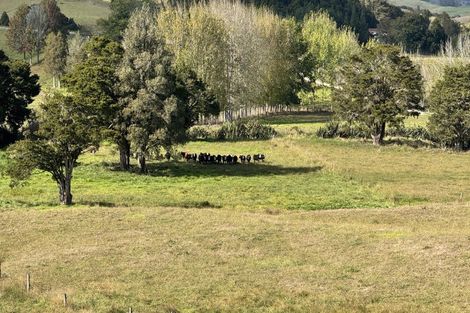 Photo of property in 967 Golden Stairs Road, Taipuha, Maungaturoto, 0589