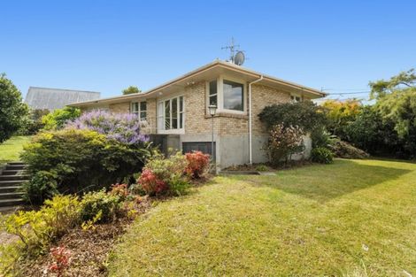 Photo of property in 23 Paine Street, Judea, Tauranga, 3110