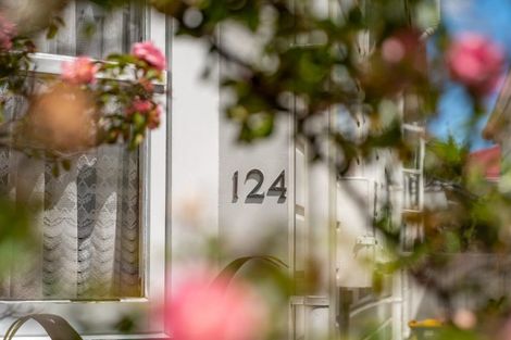 Photo of property in 124 Elizabeth Street, Mount Victoria, Wellington, 6011