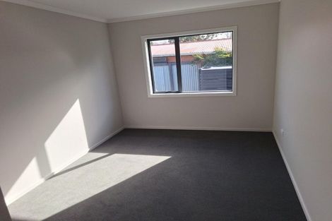 Photo of property in 19a Halberg Crescent, Chartwell, Hamilton, 3210