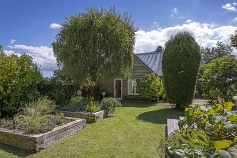 Photo of property in 11 Francis Street, Grey Lynn, Auckland, 1021