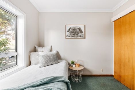 Photo of property in 48b Campbell Road, Mount Maunganui, 3116