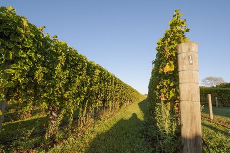 Photo of property in 5 Brook Street, Renwick, 7204