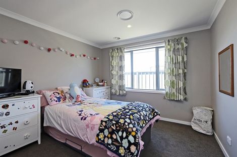 Photo of property in 20 Lochhead Street, Mahora, Hastings, 4120