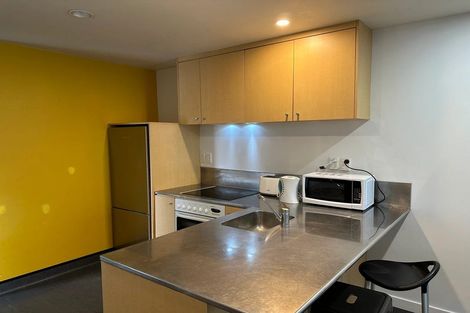 Photo of property in Hanson House, 7a/27 Hanson Street, Mount Cook, Wellington, 6021