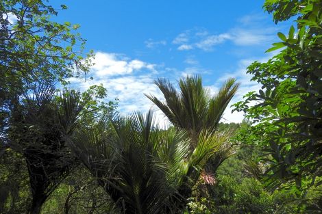 Photo of property in 61 Warner Park Avenue, Laingholm, Auckland, 0604