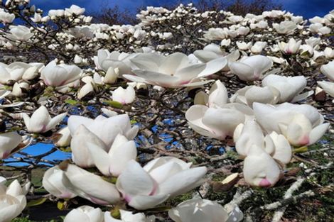 Photo of property in 376 Neudorf Road, Upper Moutere, 7175