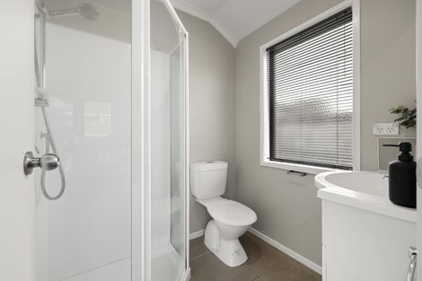 Photo of property in 124a Clarkin Road, Fairfield, Hamilton, 3214