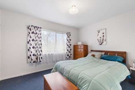 Photo of property in 100b Tirau Street, Putaruru, 3411
