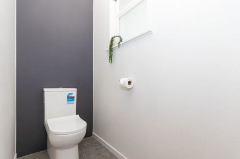 Photo of property in 95 Ruamahanga Crescent, Terrace End, Palmerston North, 4410