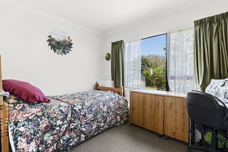 Photo of property in 11 Leon Place, Waitara, 4320