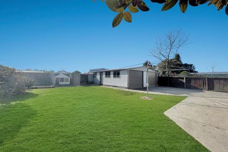 Photo of property in 40 Lilac Street, Melville, Hamilton, 3206
