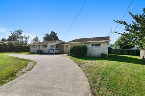 Photo of property in 14a Kiwi Street, Springfield, Rotorua, 3015