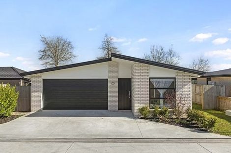 Photo of property in 31 Benjamin Avenue, Rototuna North, Hamilton, 3210