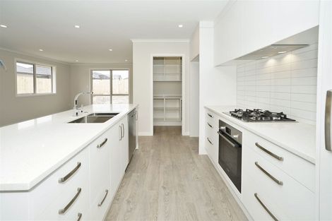 Photo of property in 28 Hector Drive, Rototuna North, Hamilton, 3210