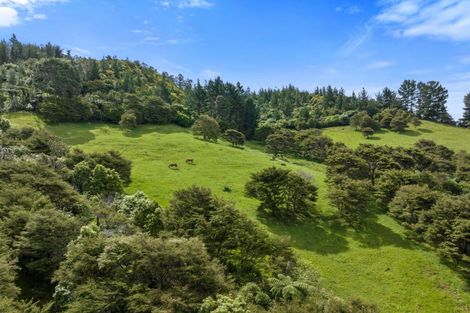 Photo of property in 225d Woodland Road, Tahawai, Katikati, 3170