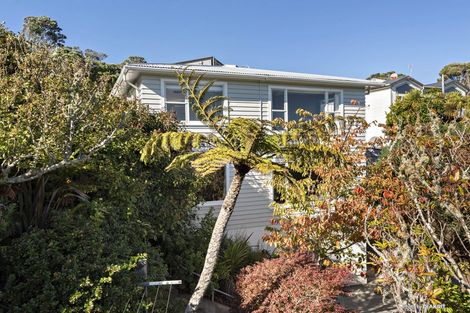 Photo of property in 115 Northland Road, Northland, Wellington, 6012