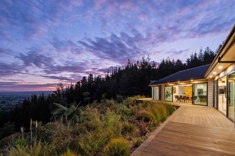 Photo of property in 225d Woodland Road, Tahawai, Katikati, 3170